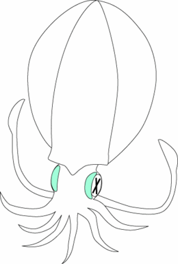 aori3.gif