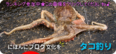 にほんブログ村 釣りブログ タコ釣りへ