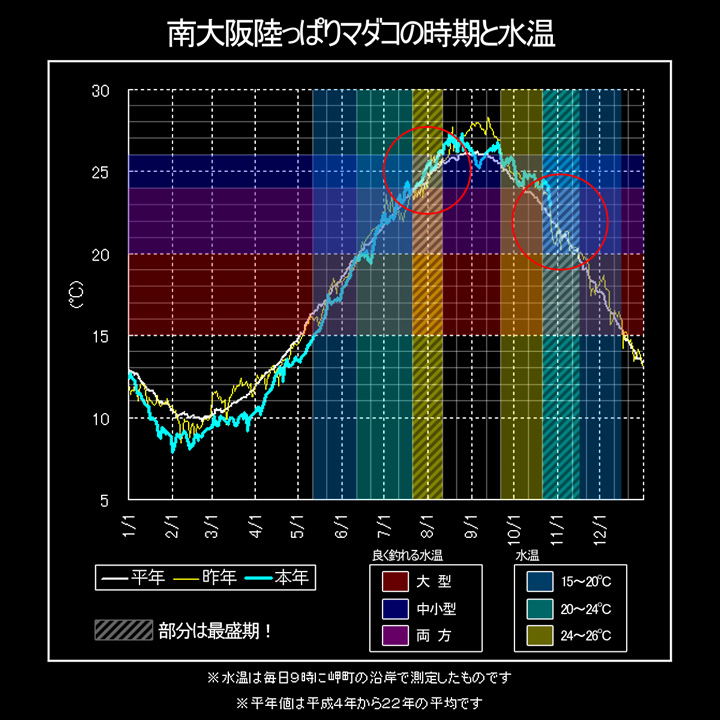 南大阪辺りのルアー釣り Fishing タコエギング